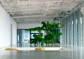 a large plant in a large room with lots of windows