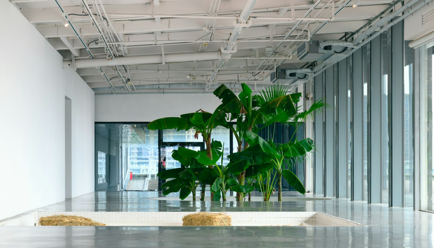a large plant in a large room with lots of windows