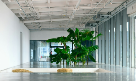 a large plant in a large room with lots of windows
