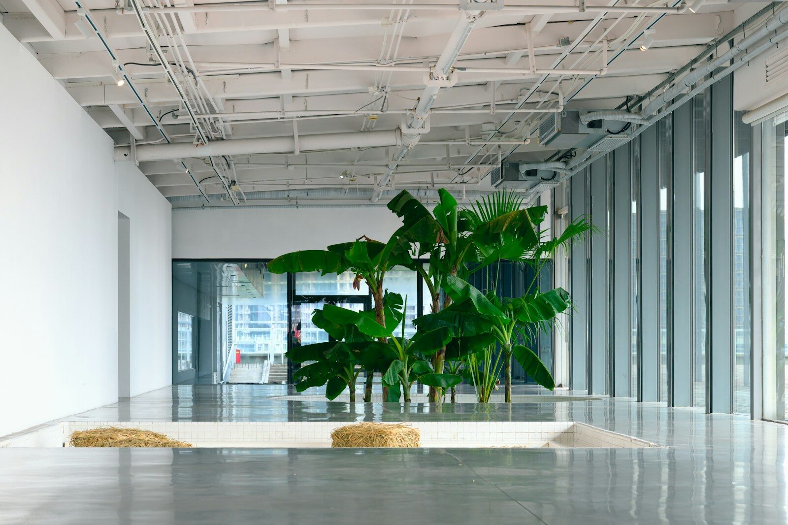 Modern affordable home interior representing practical housing and household finance decisions