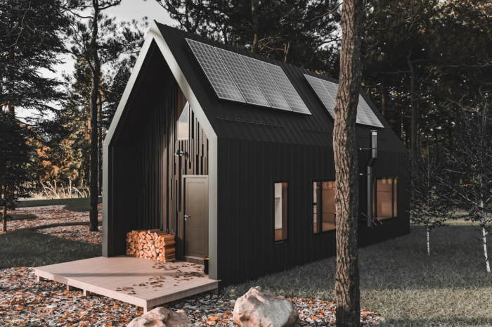 Tiny House Movement Explained: A Smart Way to Own a Home on a Budget