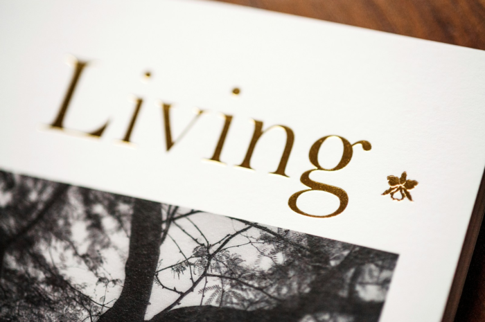 Low-Cost Living Solutions for Students in 2026 Without Breaking the Budget